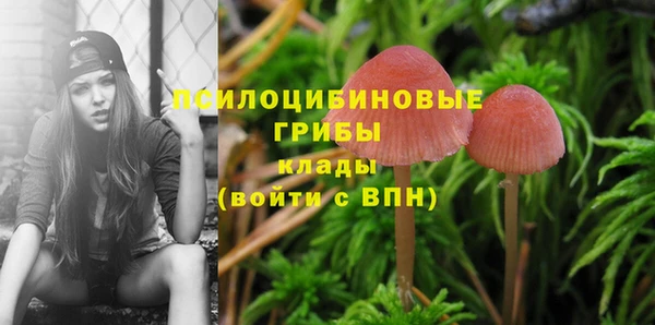 марки nbome Михайлов